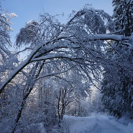 Tatry *
