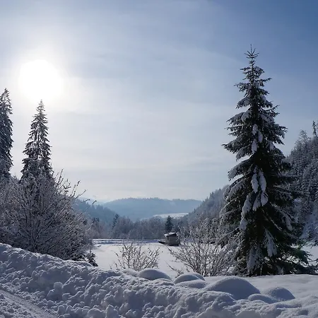 Σαλέ Tatry *